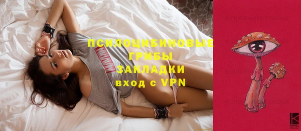 марки lsd Абаза