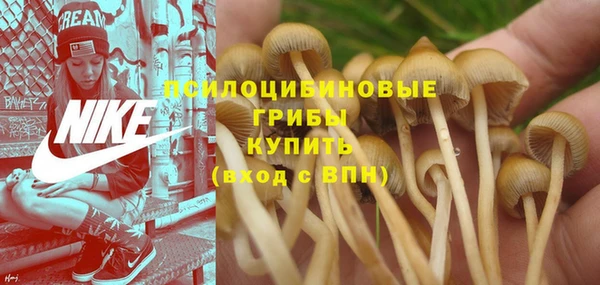 мескалин Ростов