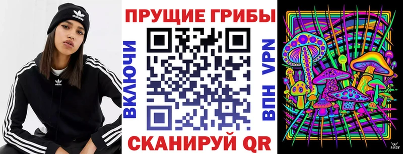Псилоцибиновые грибы GOLDEN TEACHER  Дятьково 