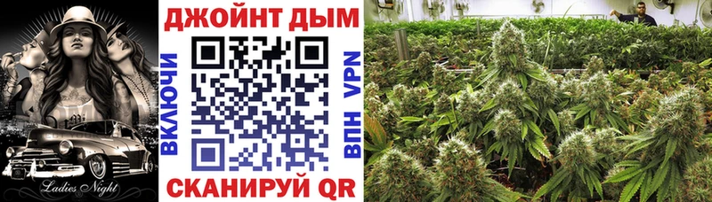Конопля ГИДРОПОН  где найти   Дятьково 